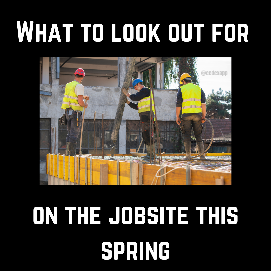 What to look out for this Spring